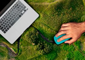Email Marketing and Sustainability: Balancing Profit and Planet in 2024