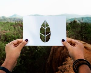 Email Marketing Ethics: Embracing Environmental Responsibility for a Greener Future